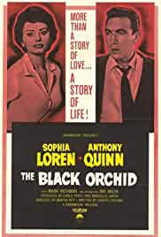 The Black Orchid