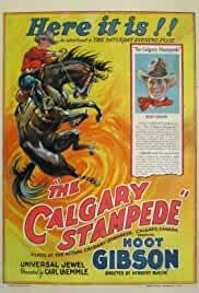 The Calgary Stampede