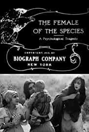 The Female of the Species