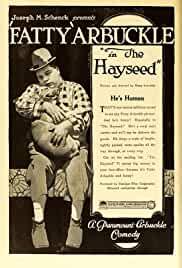 The Hayseed