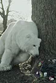 The Homeless Polar Bear