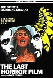 The Last Horror Film