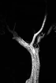 The Last Time I Saw Michael Gregg