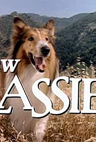 The New Lassie