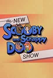 The New Scooby and Scrappy-Doo Show
