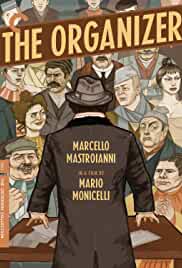 The Organizer