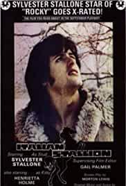 The Party at Kitty and Stud's