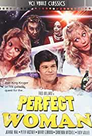 The Perfect Woman