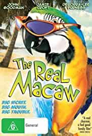 The Real Macaw