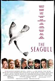 The Seagull