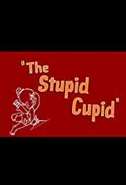 The Stupid Cupid