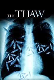 The Thaw