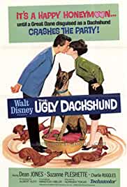 The Ugly Dachshund