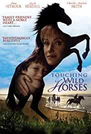 Touching Wild Horses