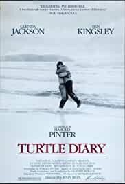 Turtle Diary