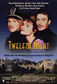 Twelfth Night or What You Will