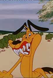 Two Gophers from Texas