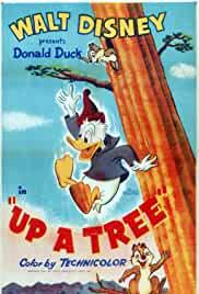 Up a Tree