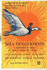 Wonderful Adventures of Nils