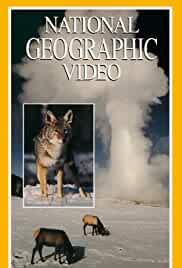 Yellowstone: Realm of the Coyote